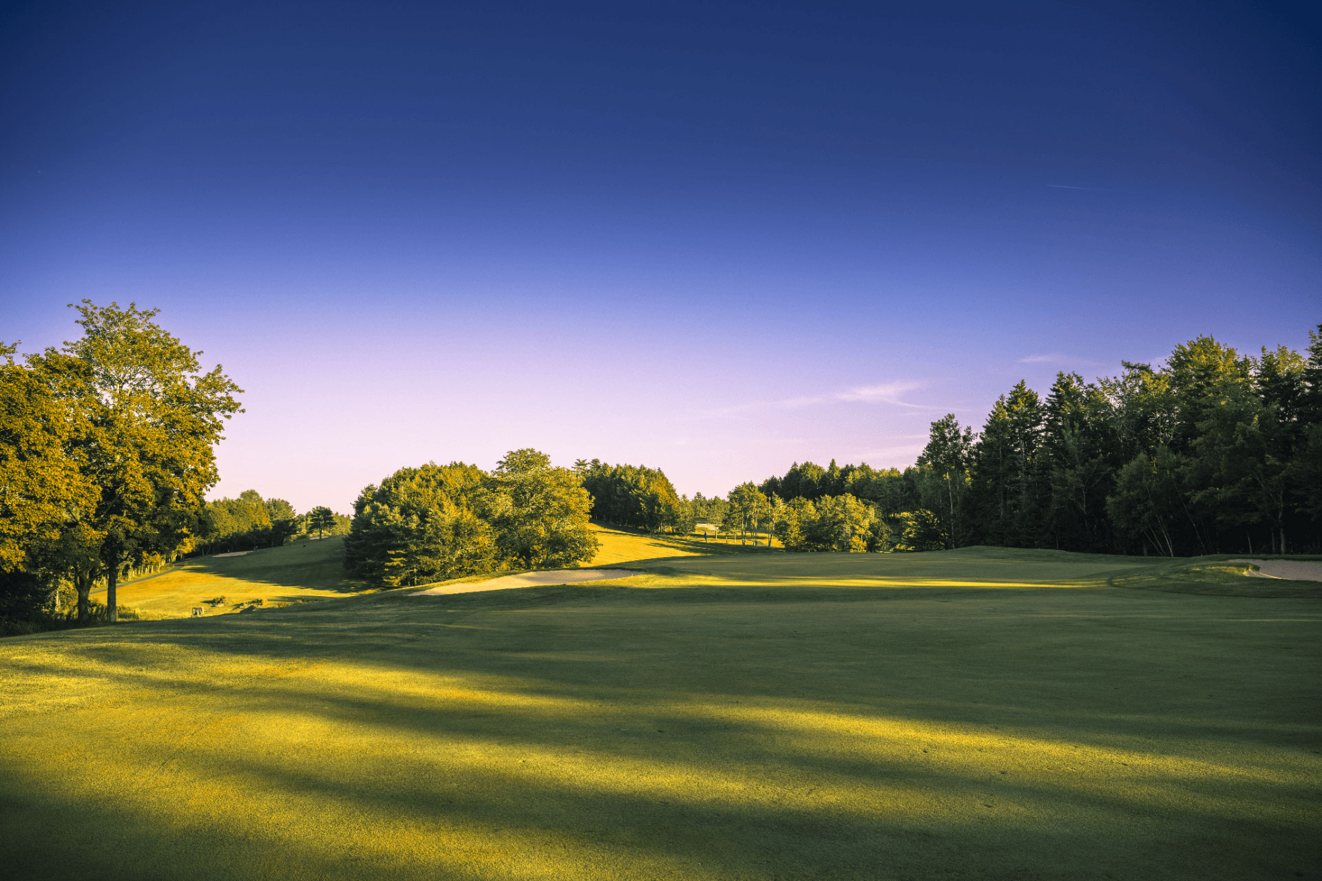 New-Course---17-Green-2022_A-grassy-field-with-trees-in-the-background-Ashburn-GC