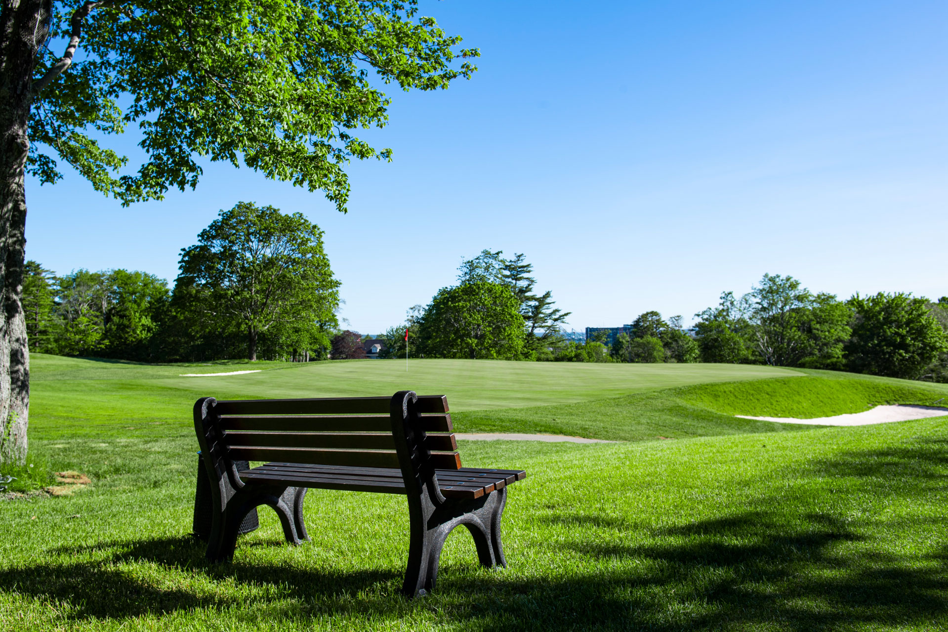 Old-Course---16-Green-2-2019_Bench-on-the-grassy-golf-course-with-trees-Ashburn-GC
